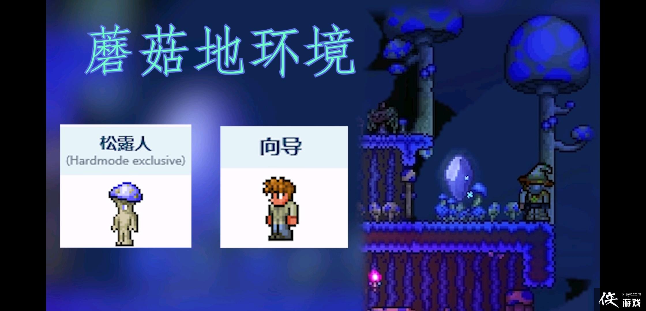 ̩NPCʺϾסĻ