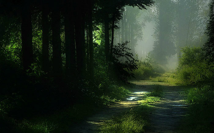 ��Q��ʵ��&��������ʧ��ɭ�ֵ��еĿ���Q�����һ˫������������վ�