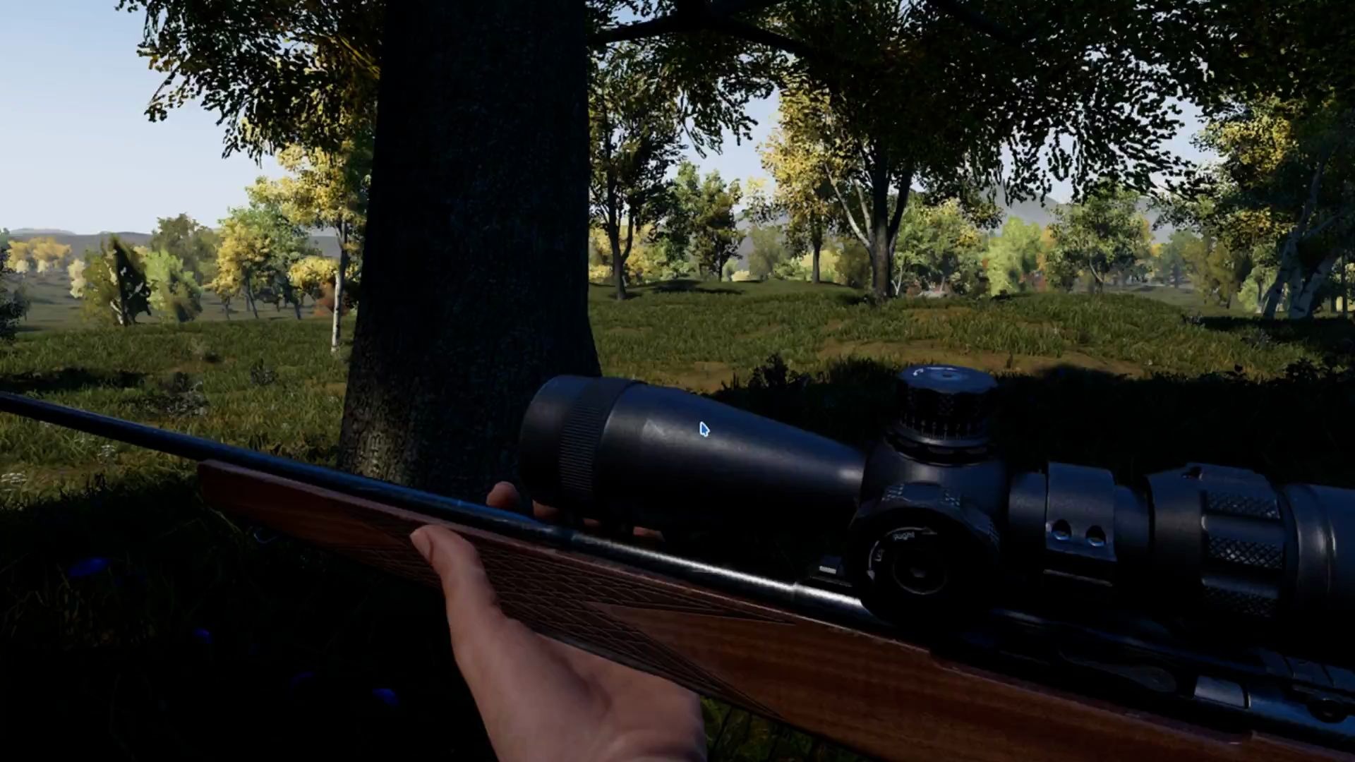 �����������ģ�������� �������û��֮һ