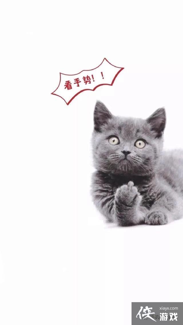 ������ֽ����ܻ�ı�ֽ