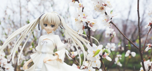 ֽ������ʲô��