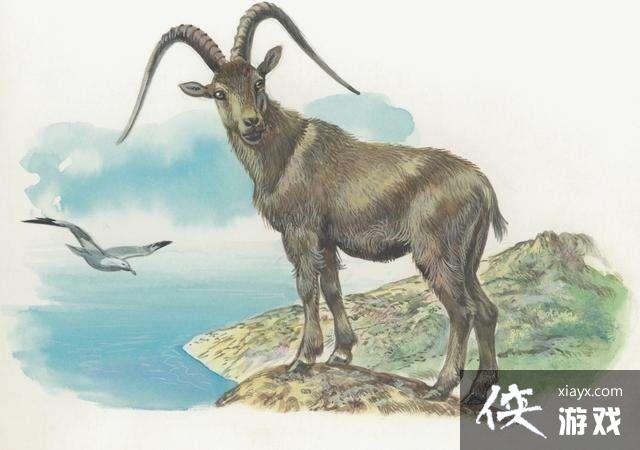 2021����ʲô��