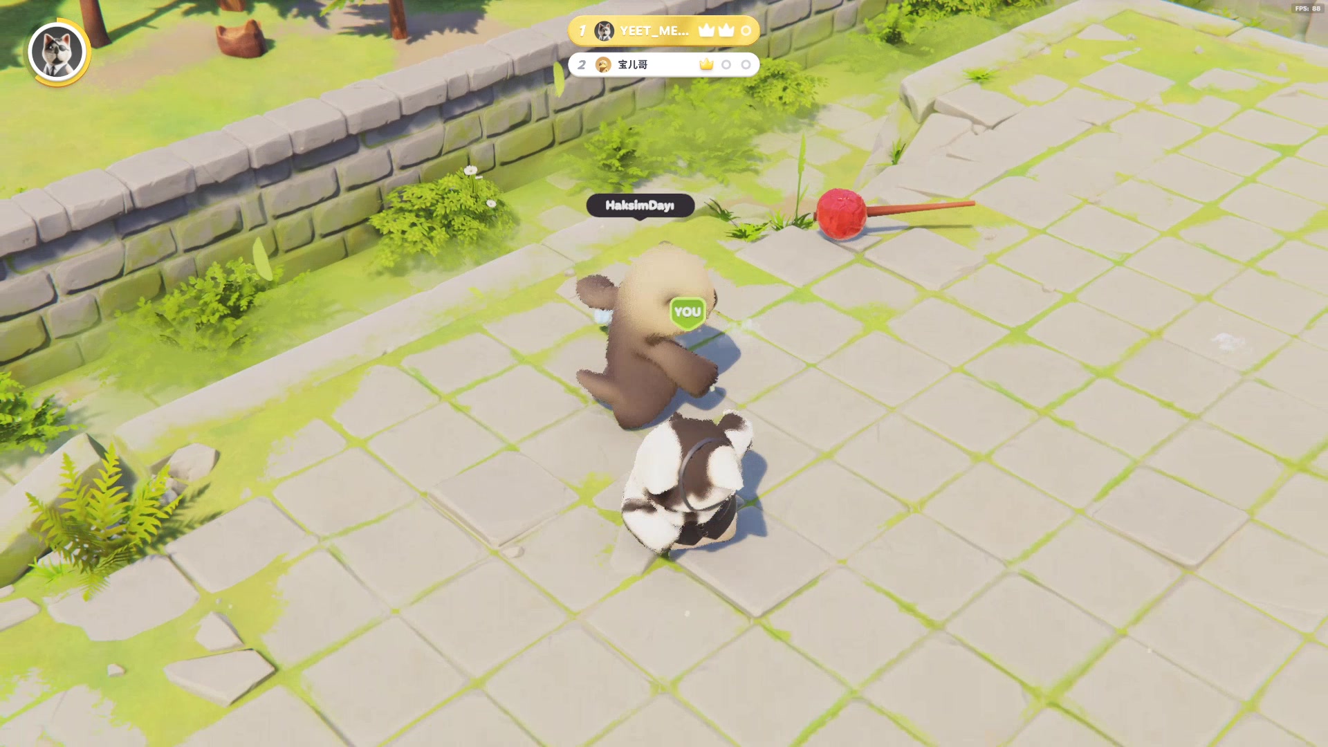 [Party Animals] �����ɶ� ����ԡ�