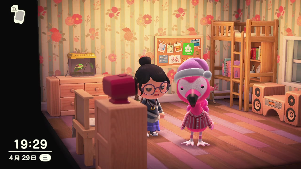 ���ﲡ�ѻ�