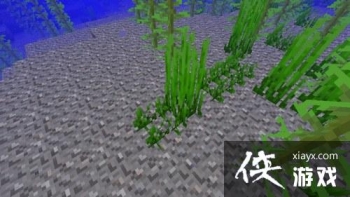 �ҵ����纣����ô�֣� �ҵ����纣����ֲ����