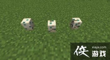 �ҵ����纣�군��ô�ã� �ҵ����纣�군��ʲô�ã�