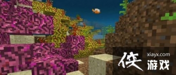 �ҵ����纣�������ʲô�� �ҵ����纣����ʲô��