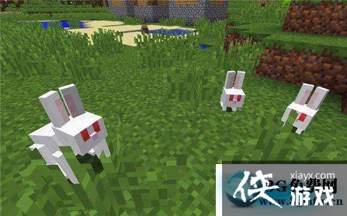 �ҵ�����ϡ�е�������ô�ã� �ҵ�����ϡ�е������÷���