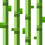 �ҵ���������ô�� �ҵ������ǿ���ô�ϳ�