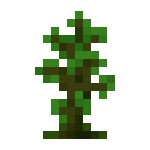 �ҵ�������Ҷ��ôŪ �ҵ�������Ҷ��ʲô��