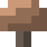 我的世界泥土有什么用 我的世界泥土介绍 我的世界泥土有什么用 我的世界泥土介绍