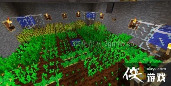 �ҵ�����Minecraft��ʯ�ִ����Զ�ũ�������̳�