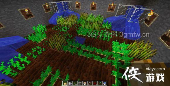 �ҵ�����Minecraft��ʯ�ִ����Զ�ũ�������̳�