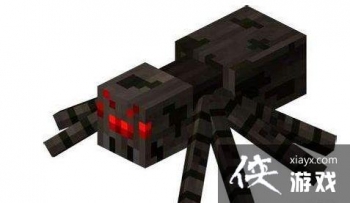 �ҵ������ֻ���֩���׳���ô���ƣ� �ҵ�����֩���׳���Ʒ���