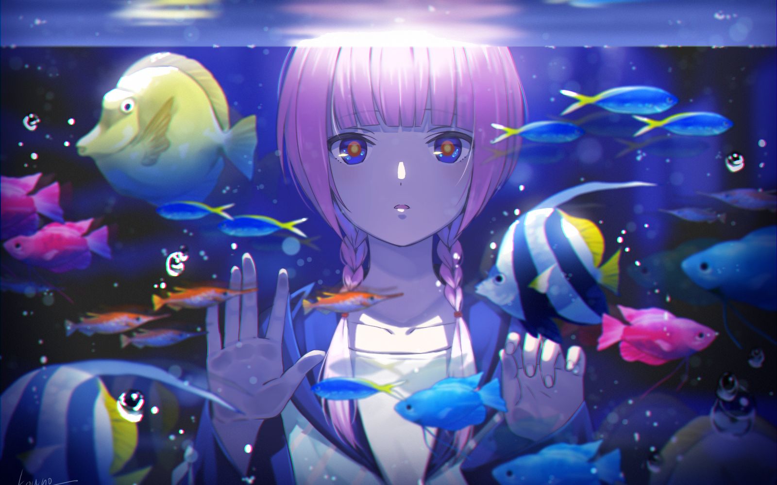 2020.11.16 ֱ��¼�� �տ�ʼ�ļ���������ǰ��û¼������û�Լ���Ȼ��ϧ�ˣ�bushi��