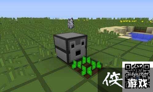 �ҵ�����������ô���ţ� �ҵ������������Ź���