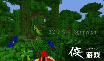 �ҵ�����������ô�ã� �ҵ��������Ļ�÷���