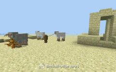 �ҵ�����˨����ô���� �ҵ�����˨����ʲô�ã�