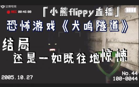 ��С��flippyֱ������Ȯ�������� | ��ֻ���һ������ؾ��