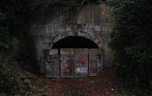 ��Ȯ����������  ��  ��