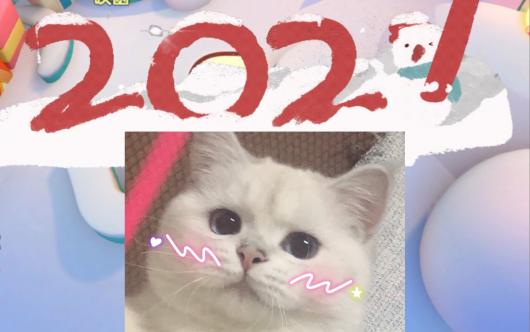 ��һ����ŵ/UNO��2021 Vol.1