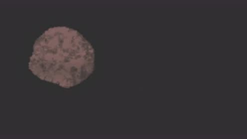 �����������ս��������Ƶ