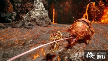 ���������� ���𡷳����ʵ����ʾ���� �Ĵ���ײ��������