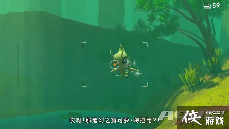 ��New������ �����ġ���������Ƭ���� չʾ����ʵ������