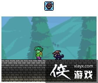 泰拉瑞亚黑猫怎么得 泰拉瑞亚黑猫宠物获取途径 泰拉瑞亚黑猫怎么得 泰拉瑞亚黑猫宠物获取途径