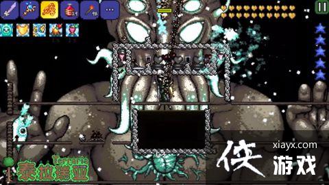 ̩�����ǿ�����ô�� ̩�����ǿ��ܴ򷨹���