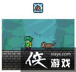 ̩�������Թ���ô�� ̩�������Թ������ȡ;��