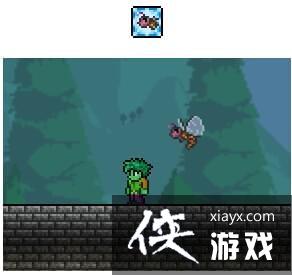 泰拉瑞亚小黄蜂怎么得 泰拉瑞亚小黄蜂宠物获取途径 泰拉瑞亚小黄蜂怎么得 泰拉瑞亚小黄蜂宠物获取途径