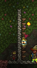 ̩������PC�������򷨹���