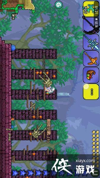 ̩�����ǵ���������ô�棿 ̩�����ǵ�����������