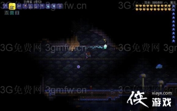 terraria��¶����ôץ�� ̩������׽��¶�湥��