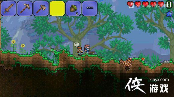 ̩������TerrariaPE����ͼ�Ĺ���