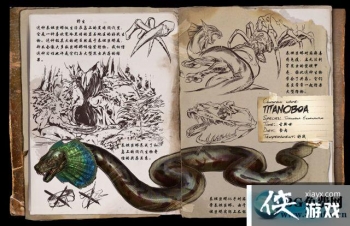 �����������̩̹������ô���� �����������̩̹��������