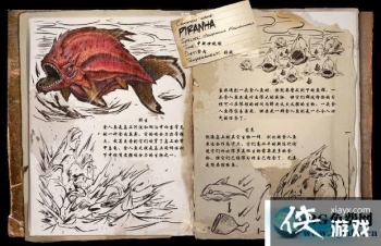 �����������ʳ������ô���� �����������ʳ��������