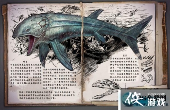 �������������������ô���� ���������������������