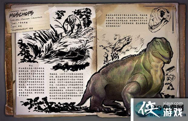 �������������������ô���� ���������������������