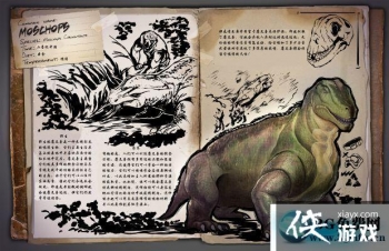 �������������������ô���� ���������������������