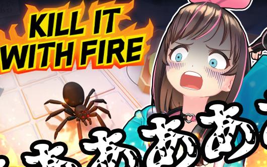 ��������ʲô�ֶΡ���Ҫ����֩������� VS �����Ҵܵ�֩�롾Kill It With Fire��