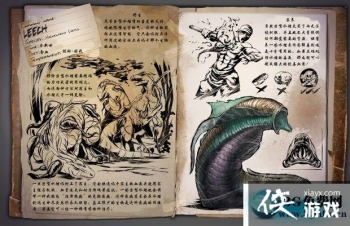 �����������ˮ����ô���� �����������ˮ������