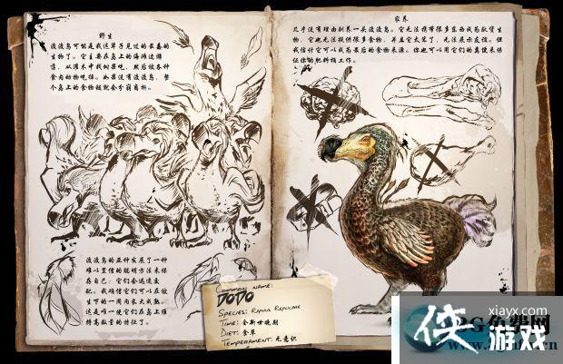 ������������ɶ�����ô���� ������������ɶ�������