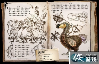 ������������ɶ�����ô���� ������������ɶ�������