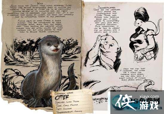 方舟生存进化水獭怎么样? 方舟生存进化水獭评测 方舟生存进化水獭怎么样? 方舟生存进化水獭评测