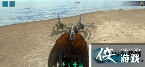 ���������������������ôץ�� �����������������������