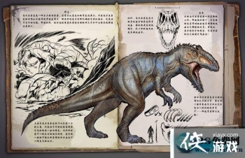 ������������Ϸ���������ô���� ������������Ϸ�����������