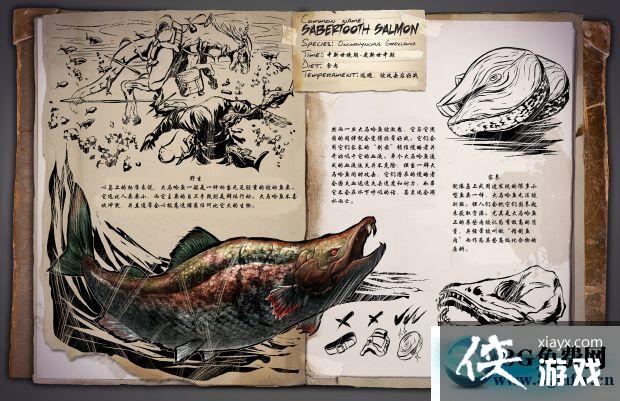 ���������������������ô���� �����������������������