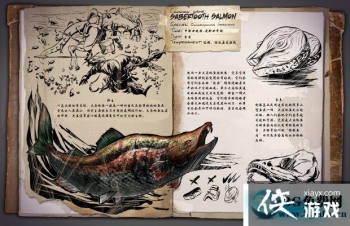 ���������������������ô���� �����������������������